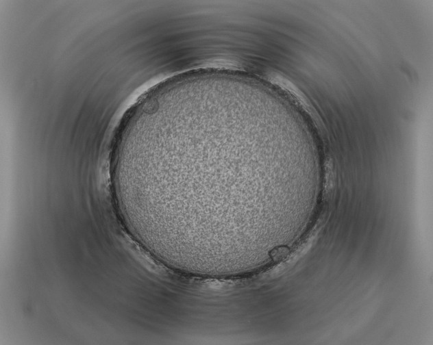 X0000114500923200911091106