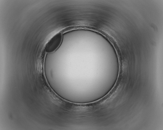 X0000114500925200911091106