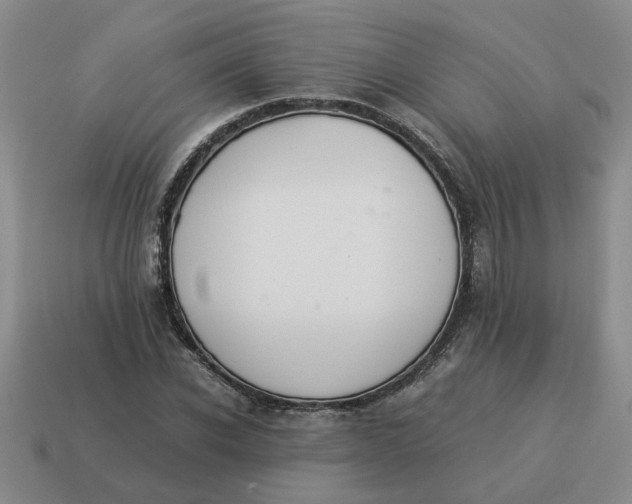 X0000114500926200911091106