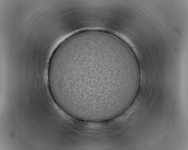 X0000114500935200911091106