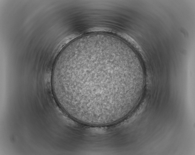 X0000114500937200911091106