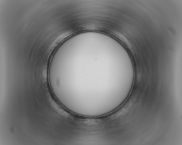 X0000114500938200911091106