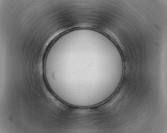 X0000114500939200911091106