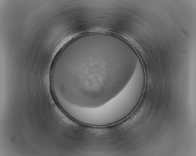X0000114500941200911091106