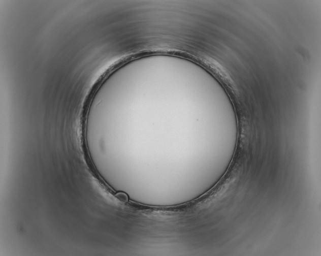 X0000114500942200911091106