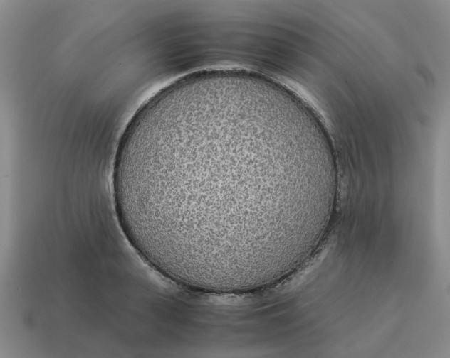 X0000114500943200911091106
