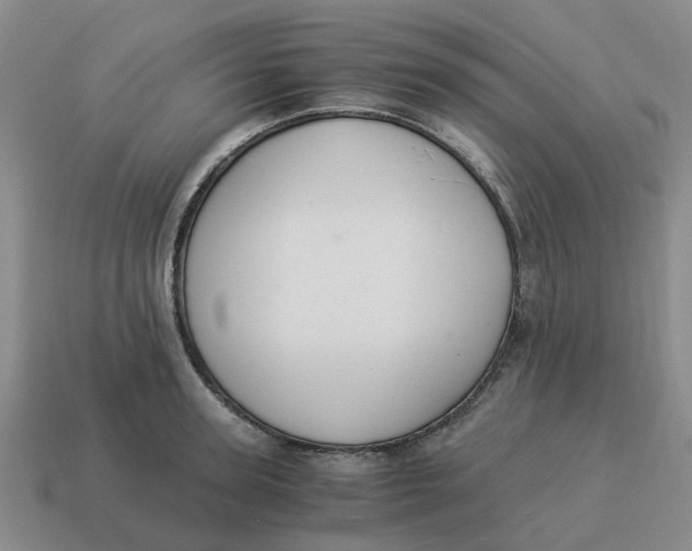 X0000114500947200911091107