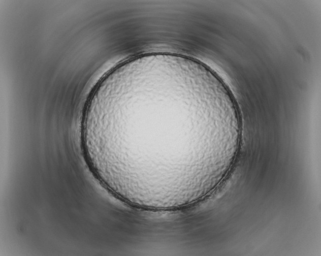 X0000114500949200911091107