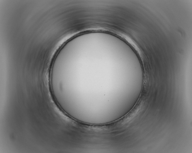 X0000114500951200911091107