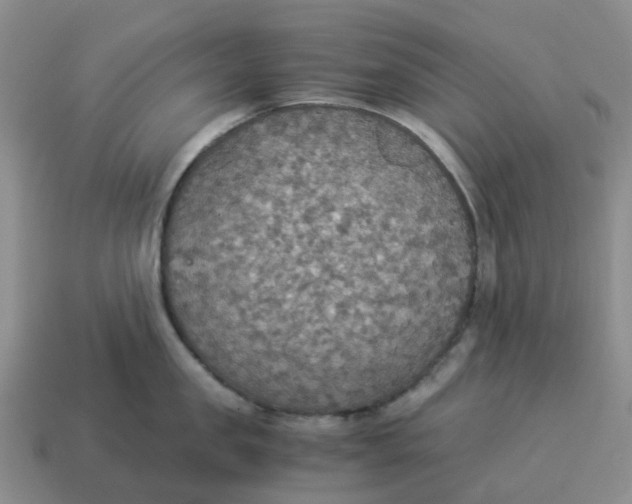 X0000114500957200911091107