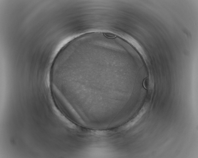 X0000114500958200911091107