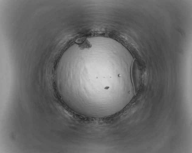 X0000114500961200911091106