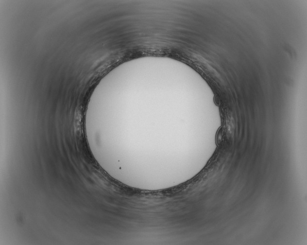 X0000114500964200911091106