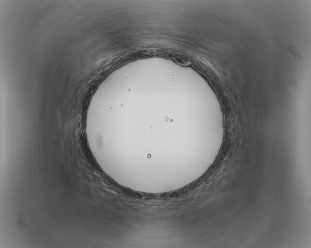 X0000114500965200911091106
