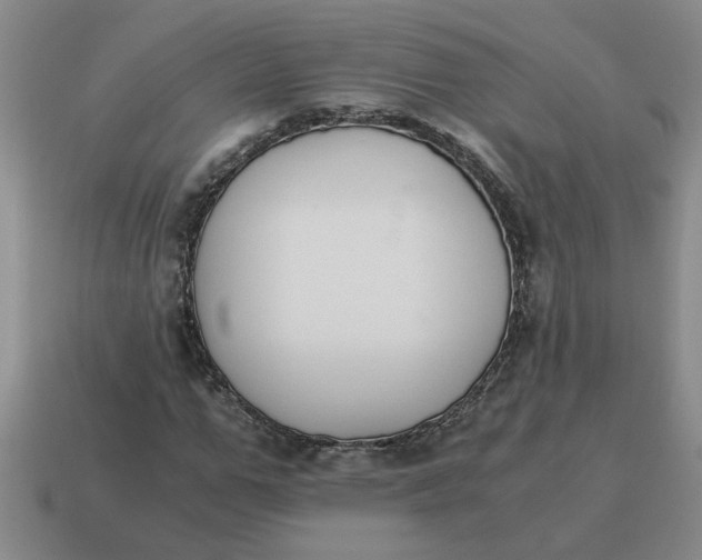 X0000114500967200911091106