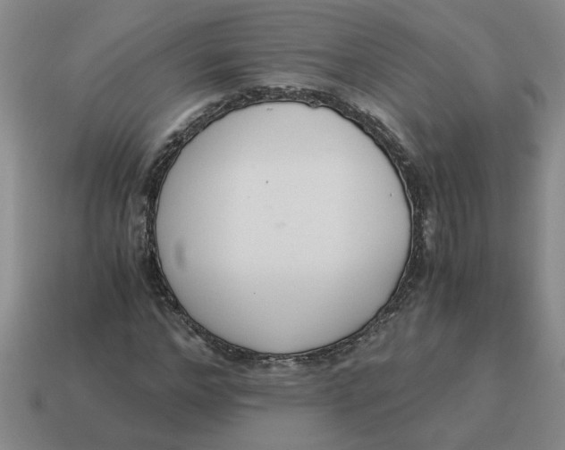 X0000114500968200911091106