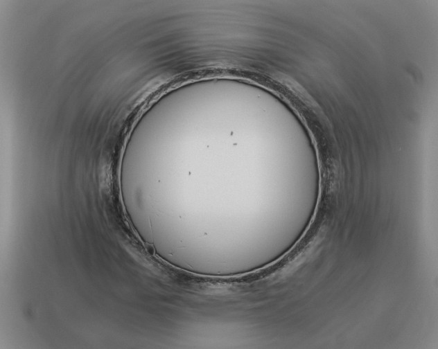 X0000114500969200911091106