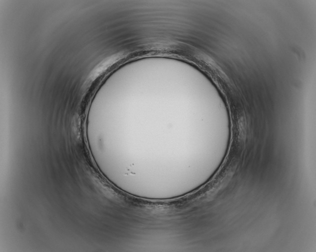X0000114500970200911091106