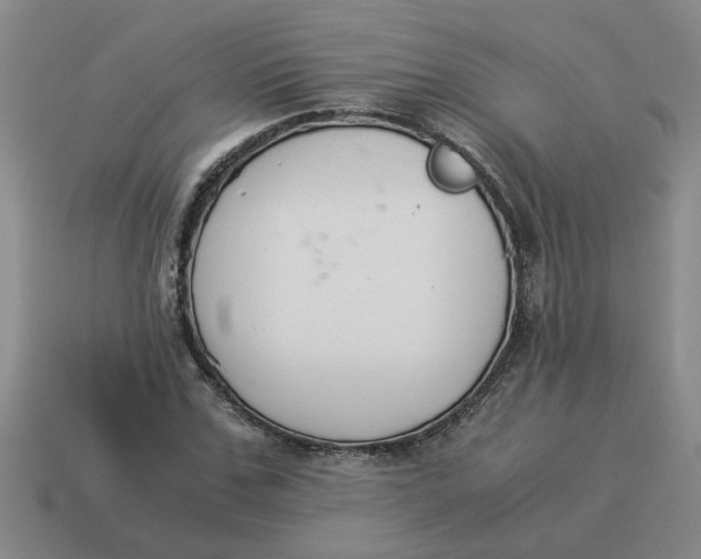 X0000114500971200911091106
