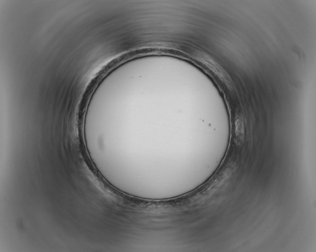 X0000114500972200911091106