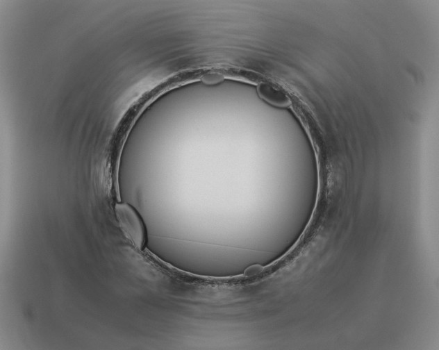 X0000114500973200911091106