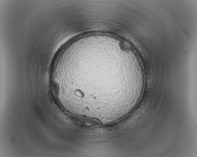 X0000114500975200911091106