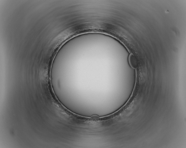 X0000114500977200911091106