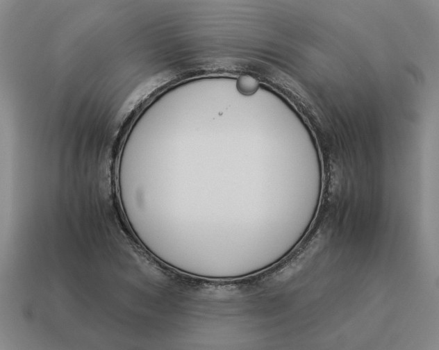 X0000114500978200911091106