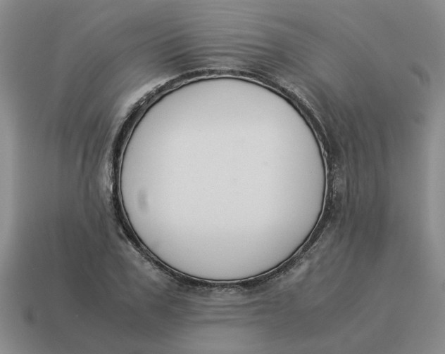 X0000114500979200911091106