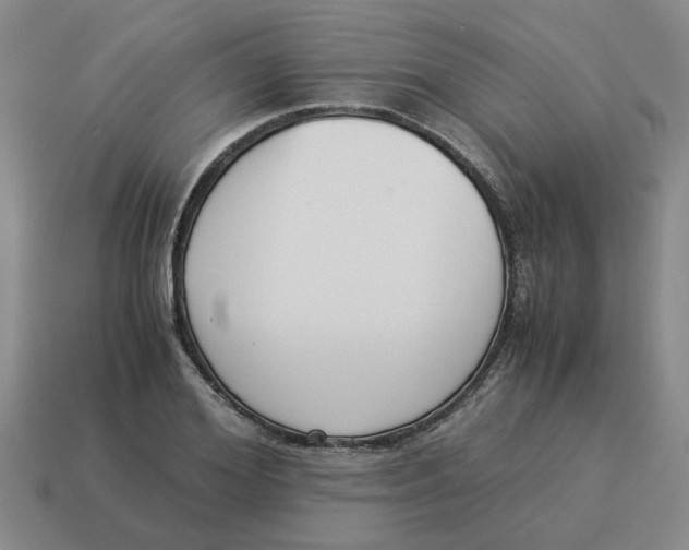 X0000114500980200911091106