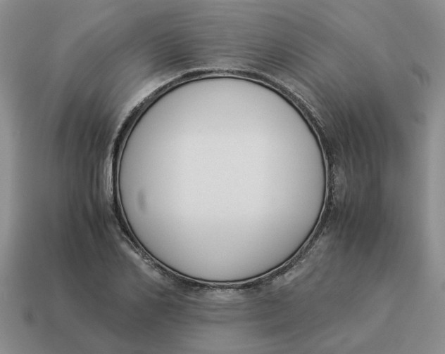 X0000114500982200911091106