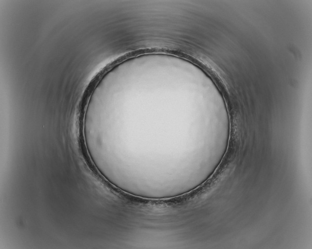 X0000114500983200911091106