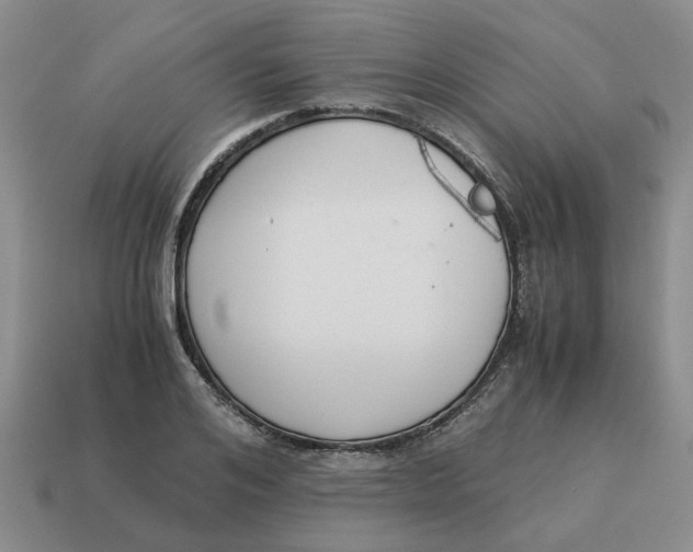 X0000114500984200911091106