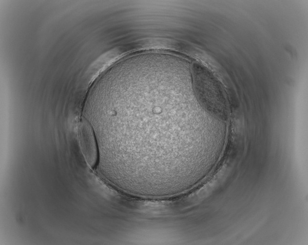 X0000114500985200911091106