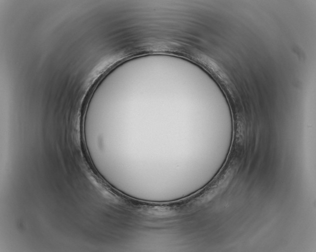 X0000114500986200911091106