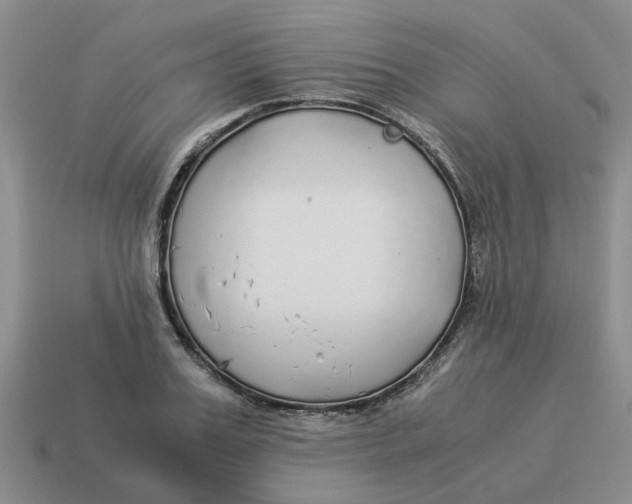 X0000114500987200911091106