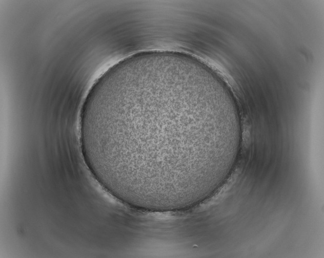 X0000114500990200911091106