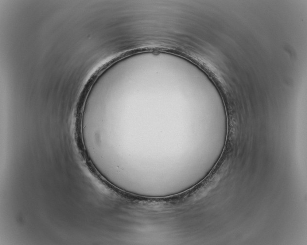 X0000114500991200911091106