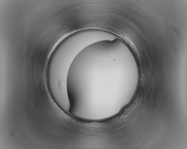 X0000114500992200911091106