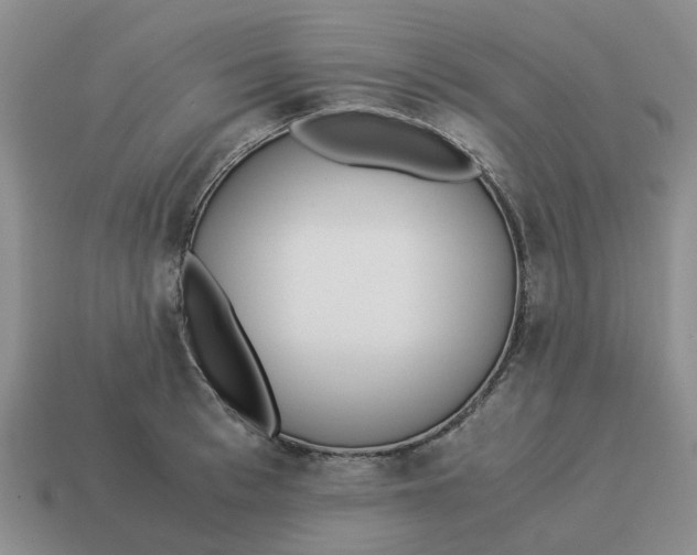 X0000114500993200911091106