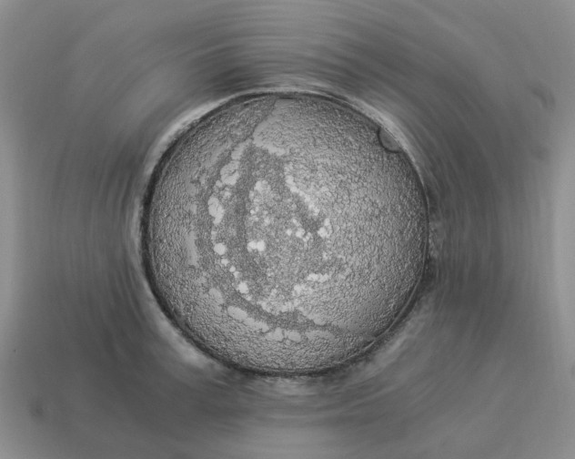 X0000114500995200911091106