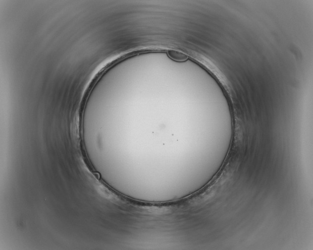 X0000114500996200911091106