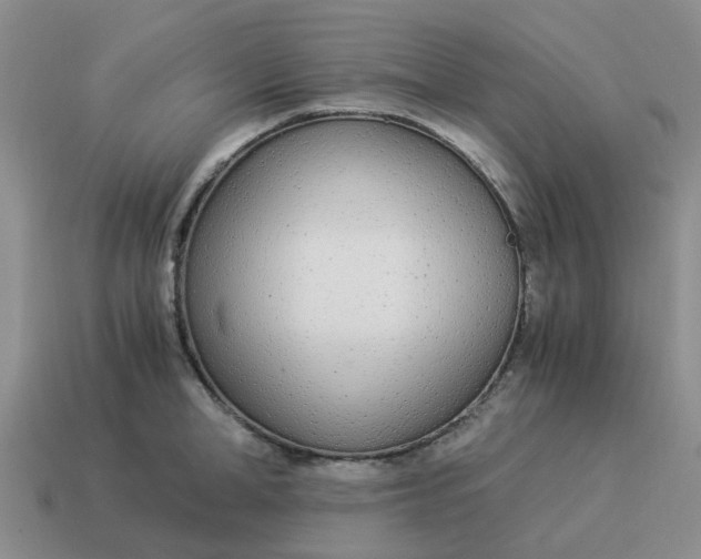 X0000114500998200911091106