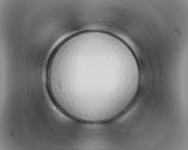 X0000114500999200911091106