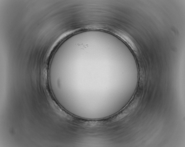 X0000114501000200911091106