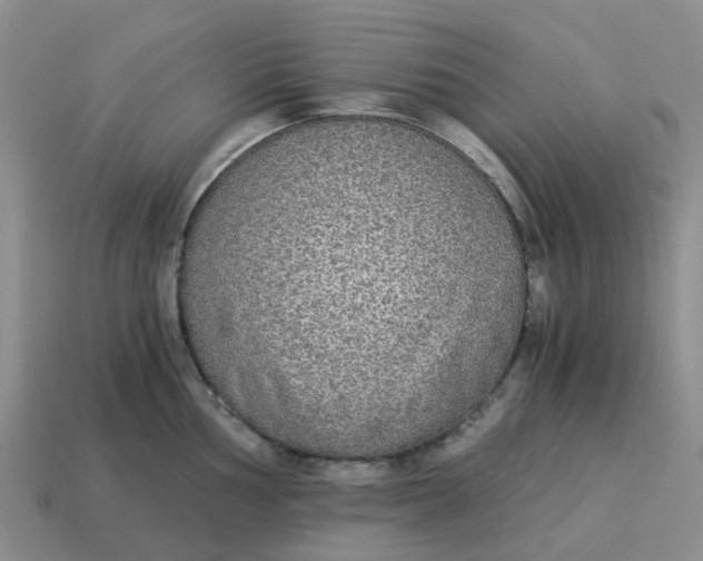 X0000114501002200911091106