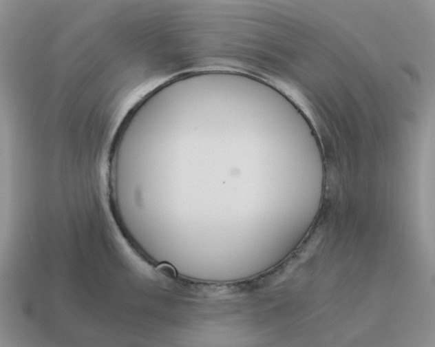 X0000114501003200911091106