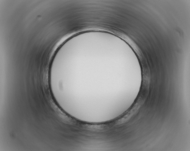 X0000114501004200911091106