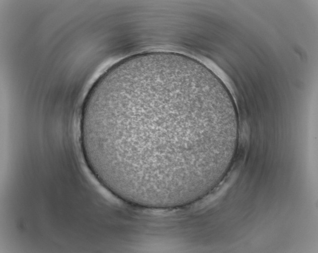 X0000114501005200911091106