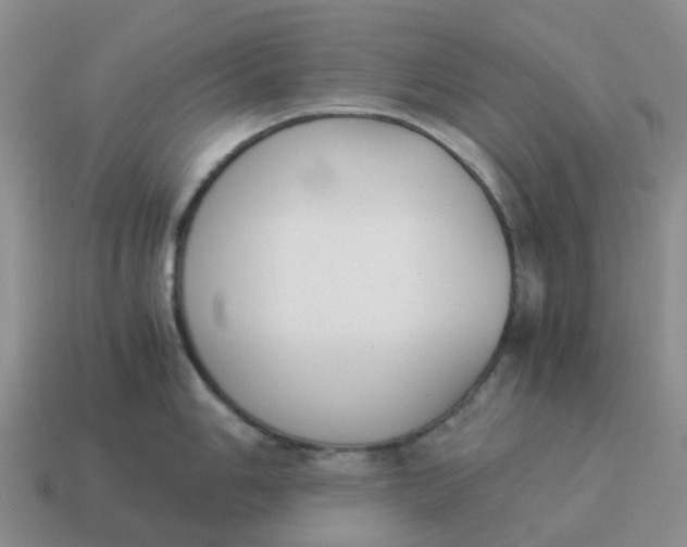 X0000114501006200911091106